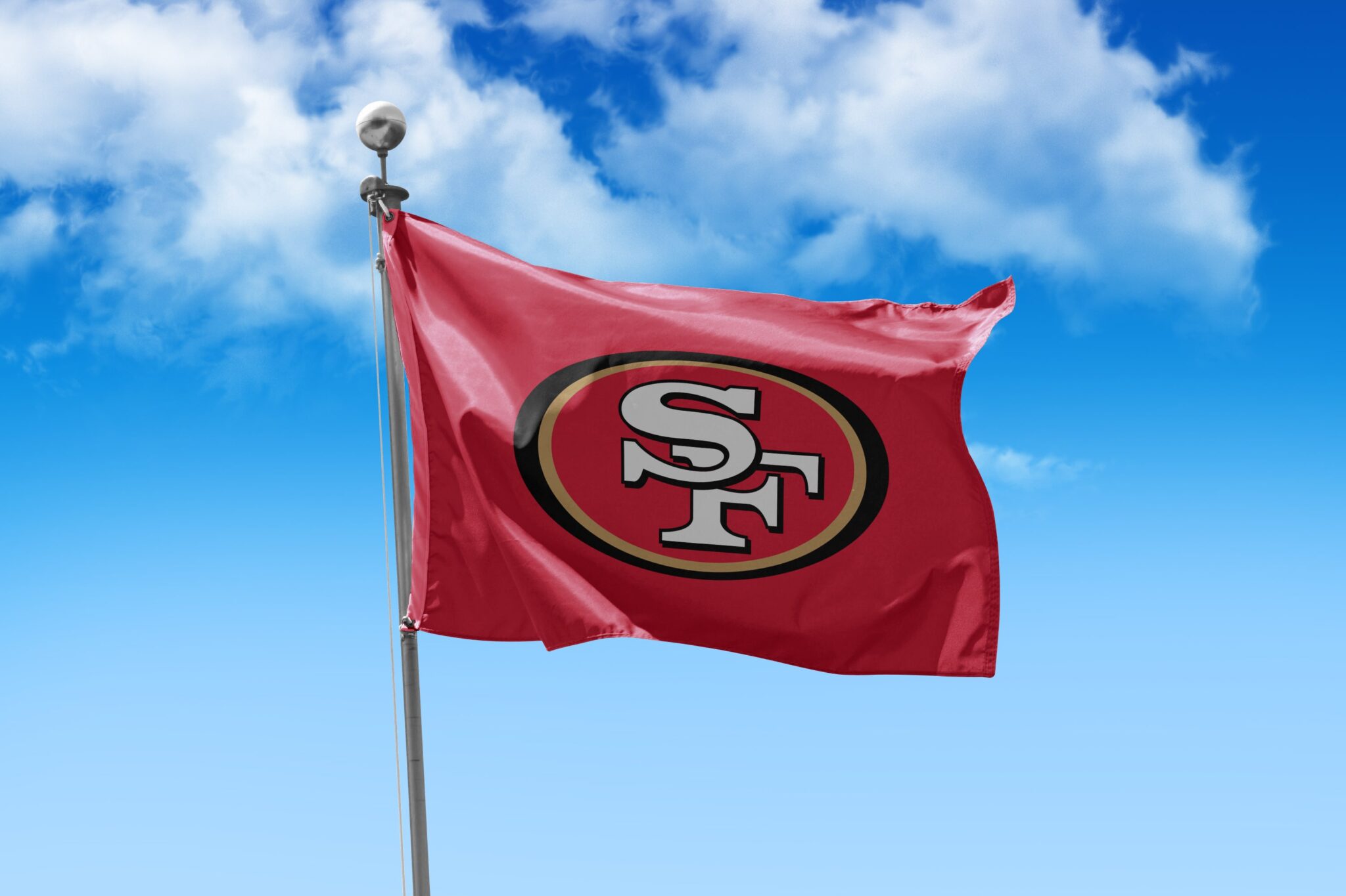 NFL San Francisco 49 Ers SVG SVG Files For Silhouette San Francisco