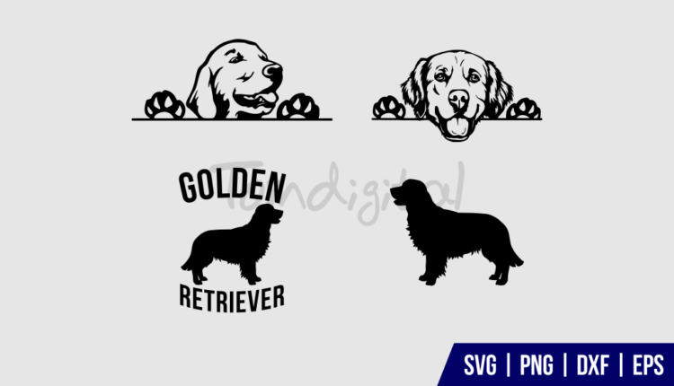 Download Golden Retriever Svg Dxf Png Eps Bundle Gravectory