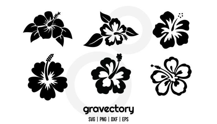 Hibiscus Hawaiian Flower SVG Bundle - Gravectory