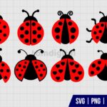 Ladybug SVG