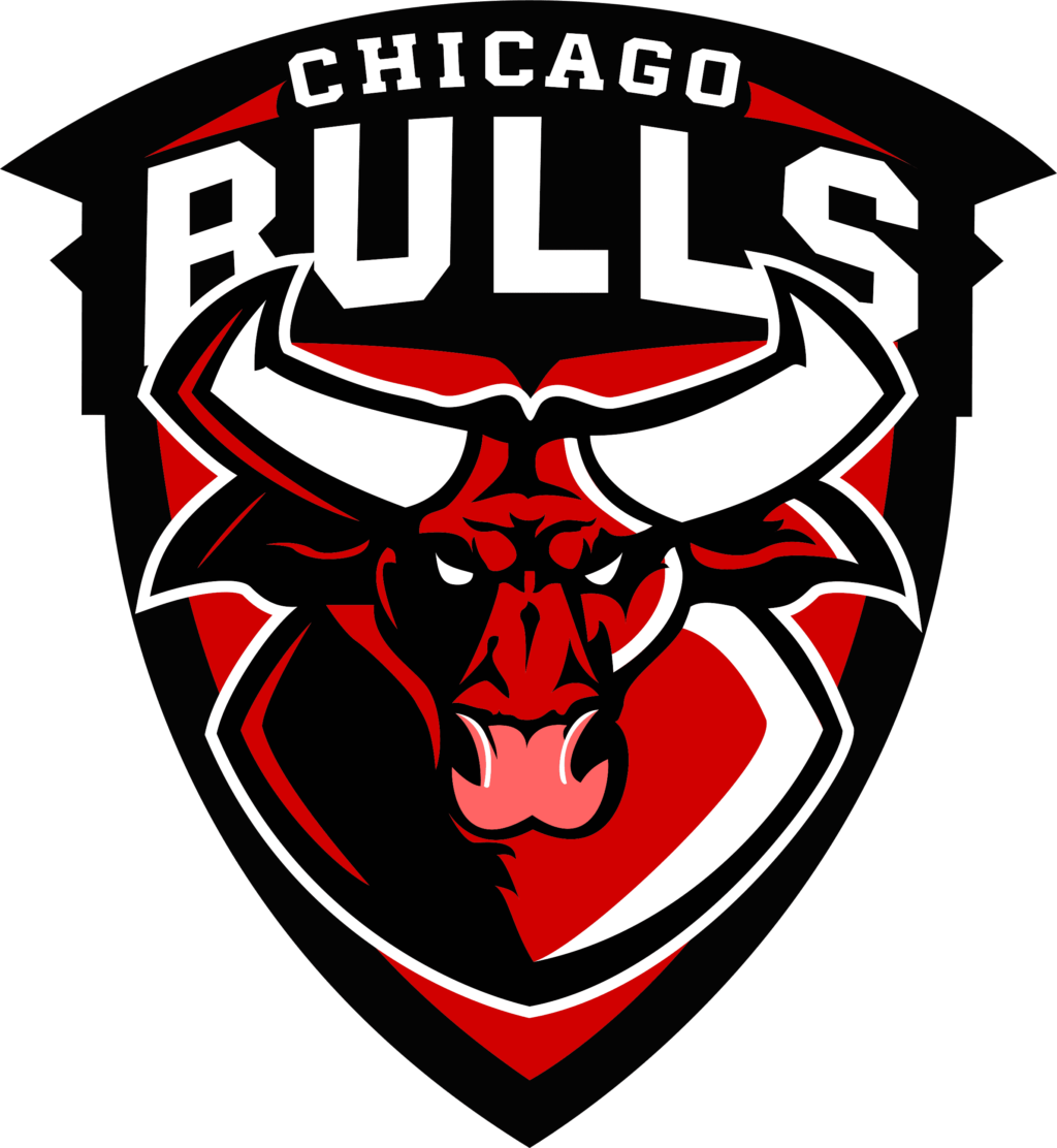 chicago bulls 10 12 Styles NBA Chicago Bulls Svg, Chicago Bulls Svg, Chicago Bulls Vector Logo, Chicago Bulls Clipart, Chicago Bulls png, Chicago Bulls cricut files.