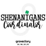 shenanigans coordinator svg