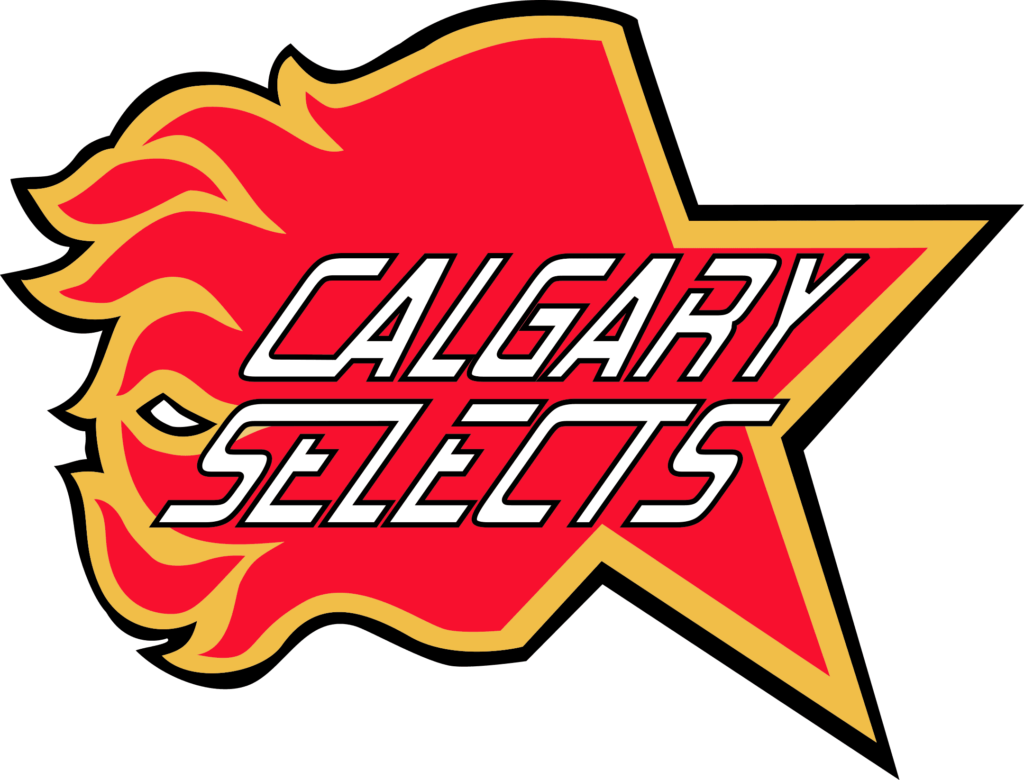 calgary flames 08 12 Styles NHL Calgary Flames Svg, Calgary Flames Svg, Calgary Flames Vector Logo, Calgary Flames hockey Clipart, Calgary Flames png, Calgary Flames cricut files.