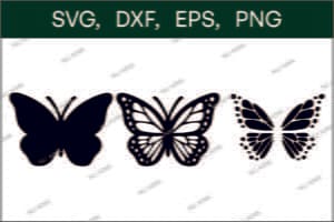 Butterfly svg