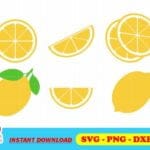 Lemon SVG Bundle