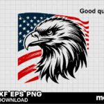 American Eagle flag SVG