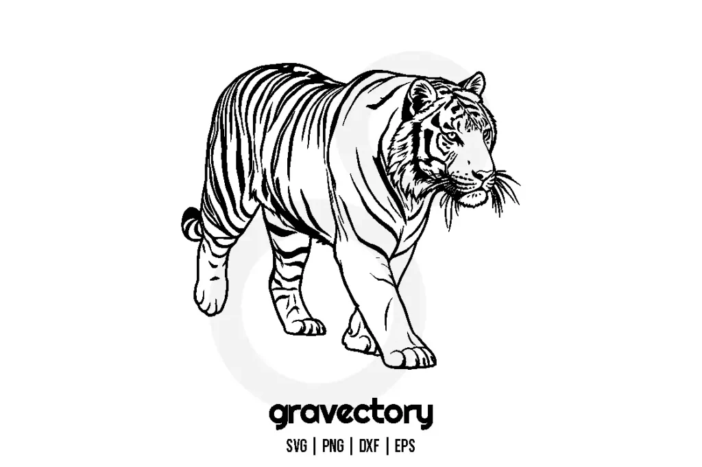tiger outline svg cut file free Free SVG