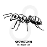 Ant Vector SVG Free