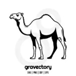 Camel Vector SVG Free