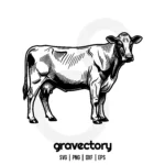 cow vector svg free