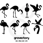 flamingo silhouette svg bundle