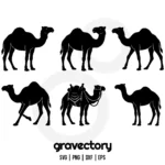camel silhouette svg bundle