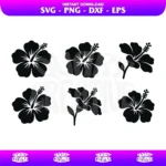 Hibiscus Flower Silhouette SVG Bundle